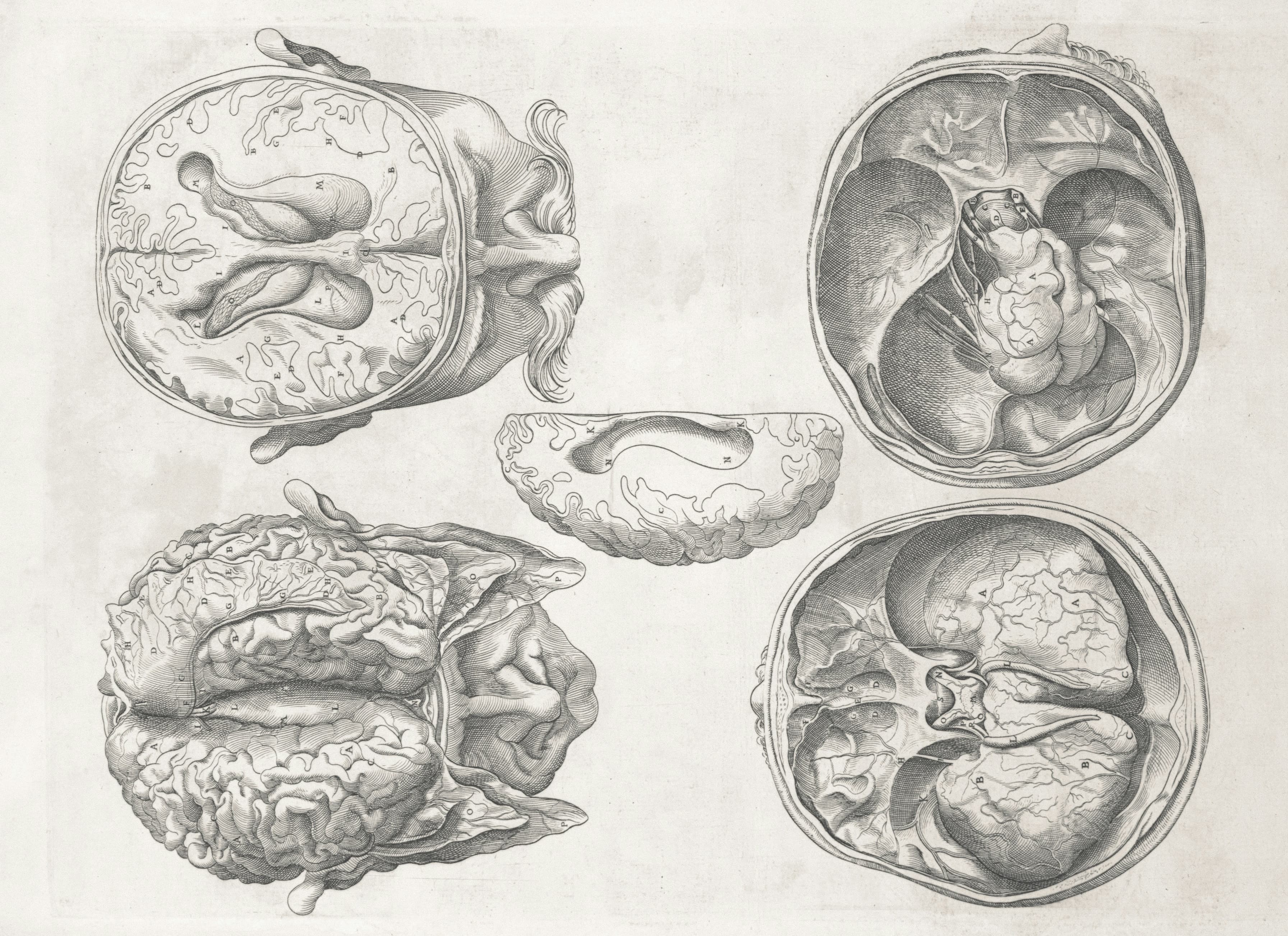 How AI Coaching with Reflecta Can Bring About Brain Change & Boost Neuroplasticity at Any Age