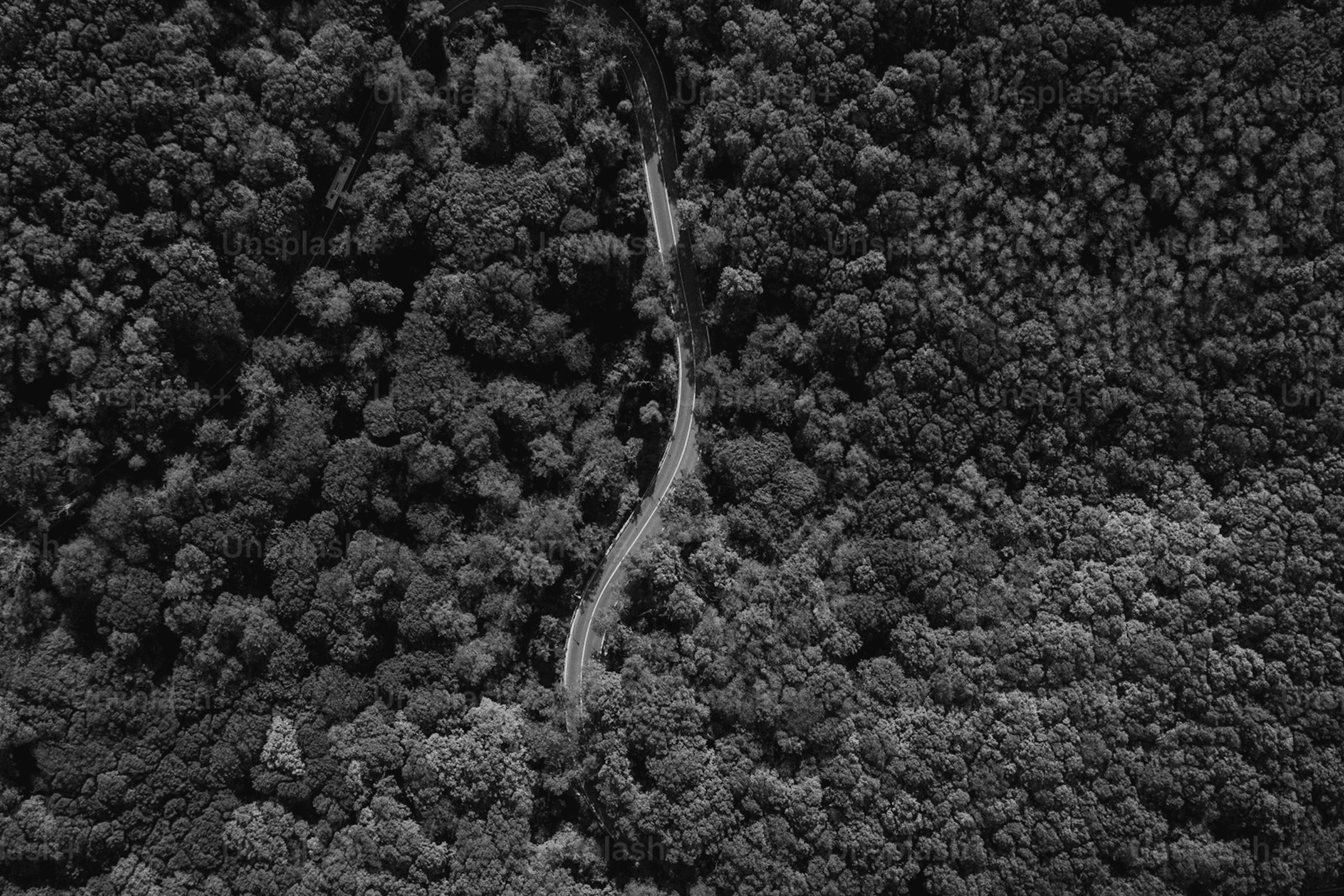 AI Coach for Founders: How Reflecta Empowers Your Journey to Success