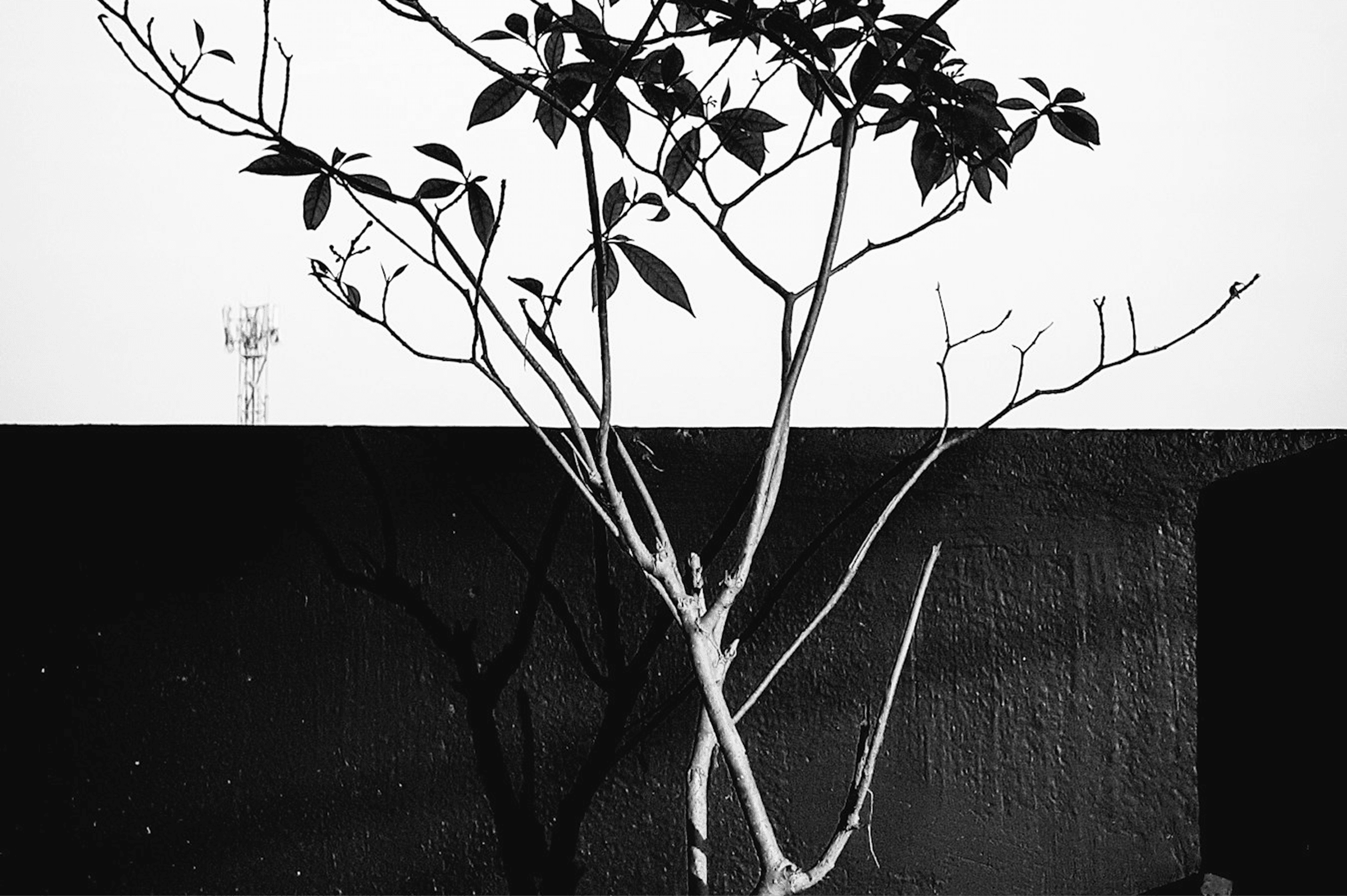 Personal Growth: Unlocking Your Full Potential Through Science, Reflection, and AI Coaching