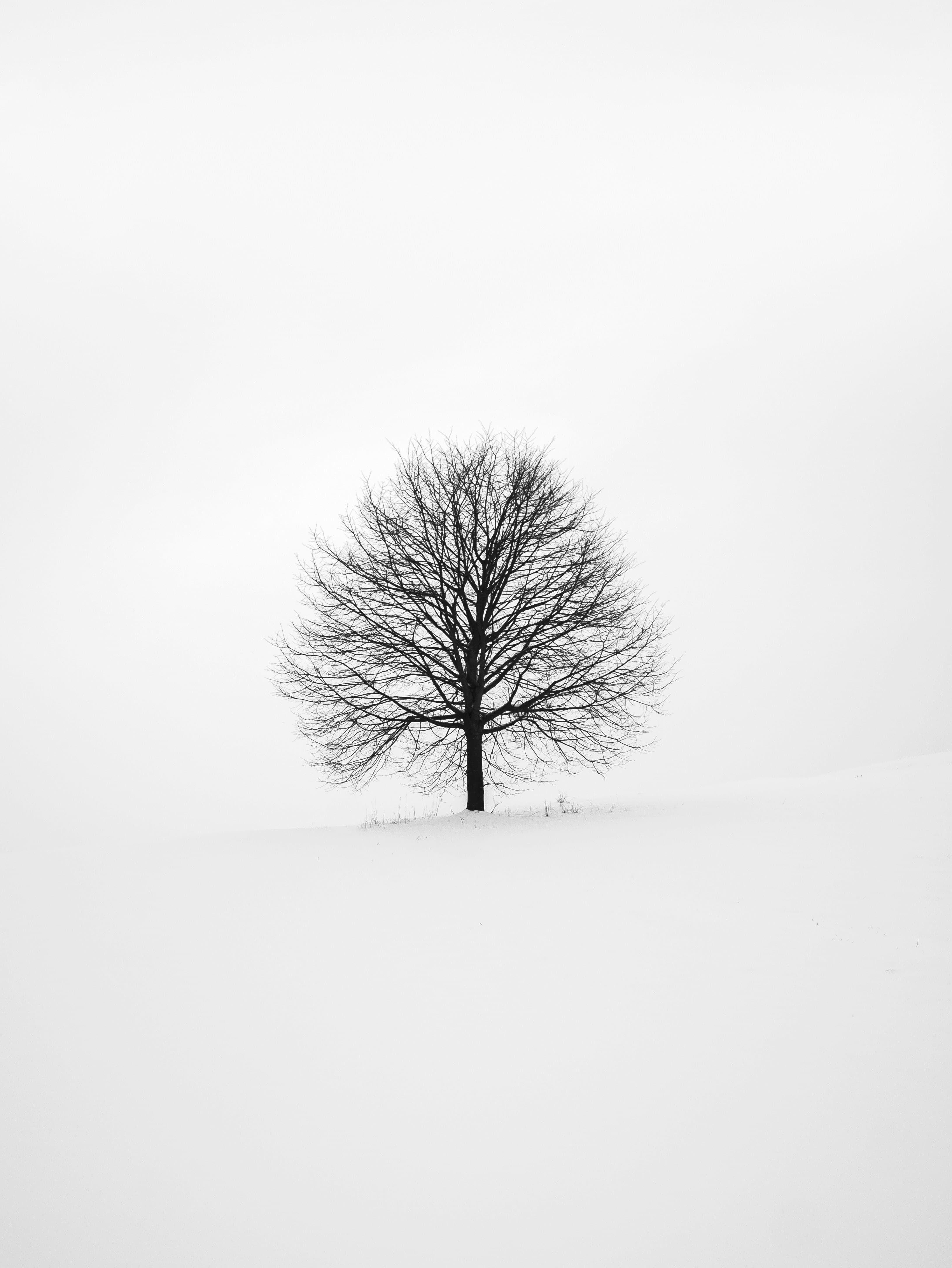 The art of thinking clearly: Unlock Your Leadership Potential with Reflecta Ai Coach